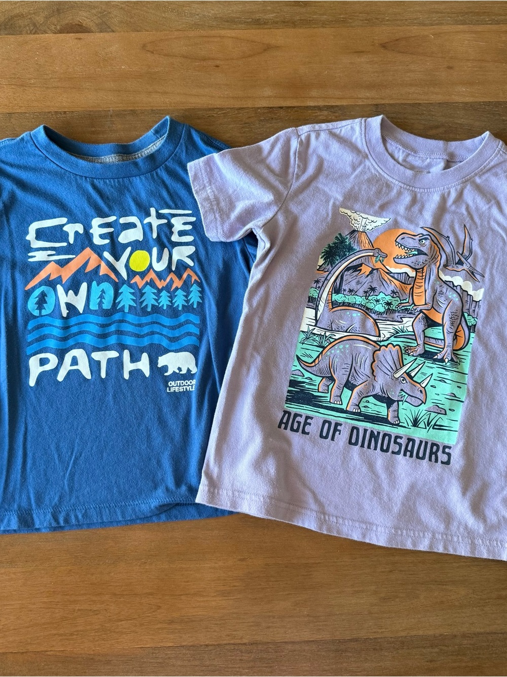 💥2/$20 Kids Short Sleeve Graphic Tee Set - size 5 - dinosaurs and outdoor
